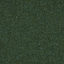 Borneo 35