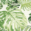 Jungle 32